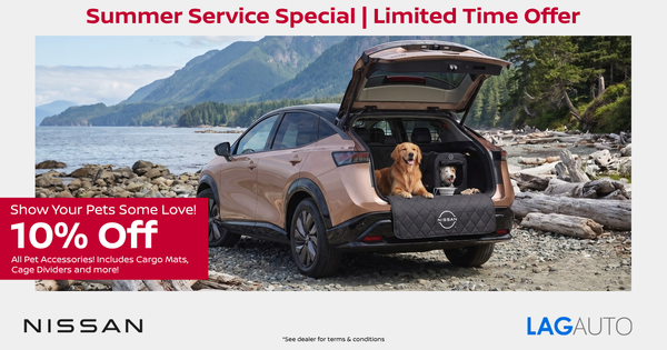 10% Off Pet Accessories