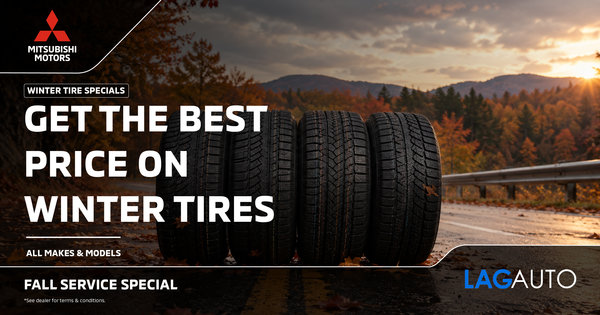 Winter Tires for Every Vehicle