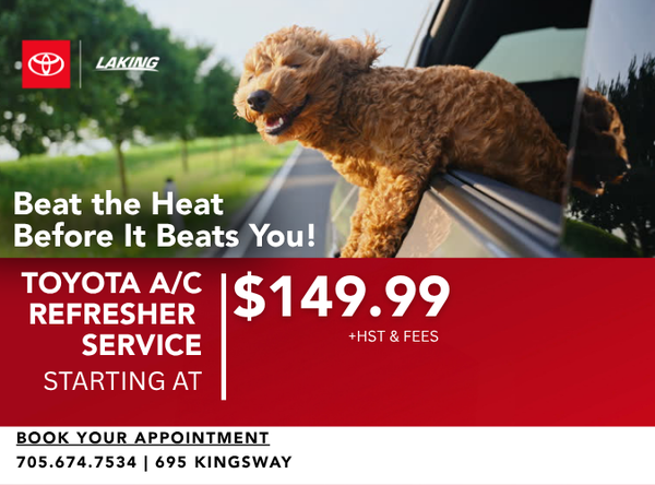 Beat the Heat, Before the Heat Beats You!