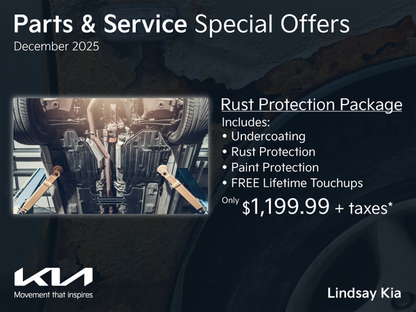 Get all-around protection for your vehicle!
