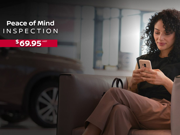 Peace of Mind Inspection