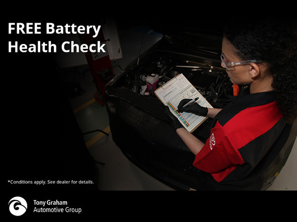 Free Battery Health Check