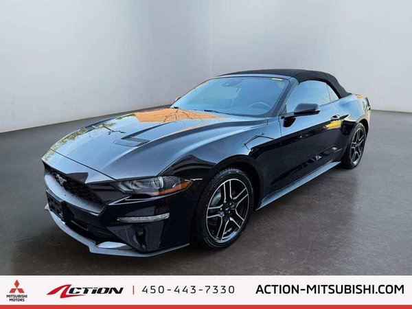 Mustang