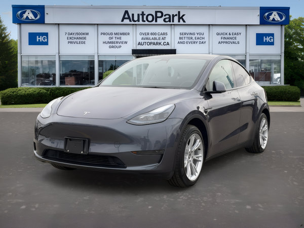Model Y