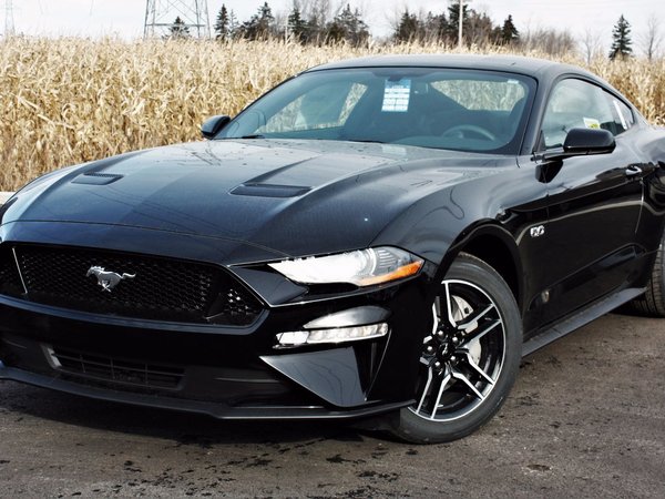 Ford Mustang Neuf Et Doccasion C3 A0 Vendre Ford Mustang Coupe