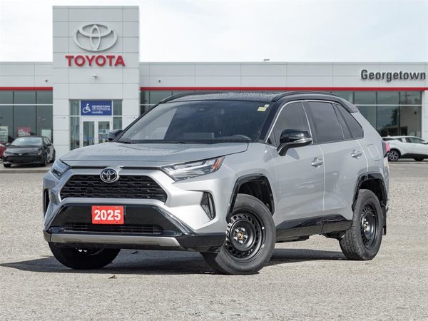 RAV4 Hybrid