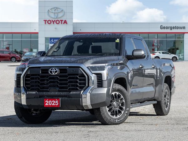 Tundra 4X4