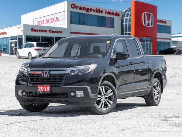 Ridgeline