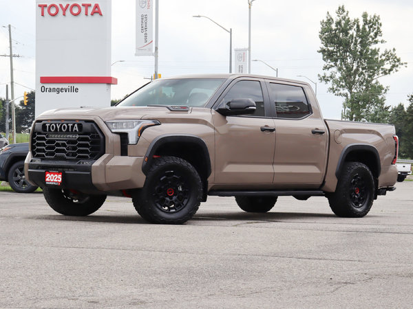 Tundra