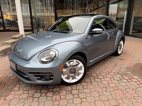 Beetle