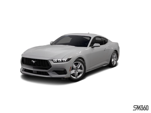 Mustang