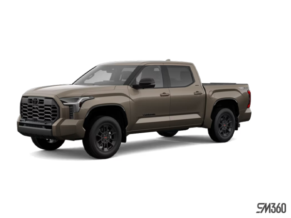 Tundra