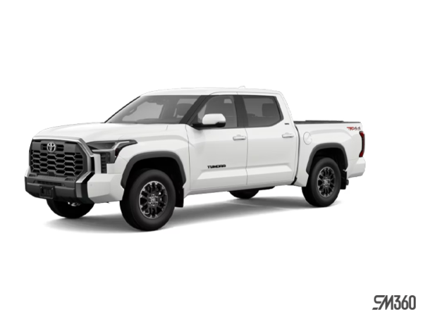 Tundra