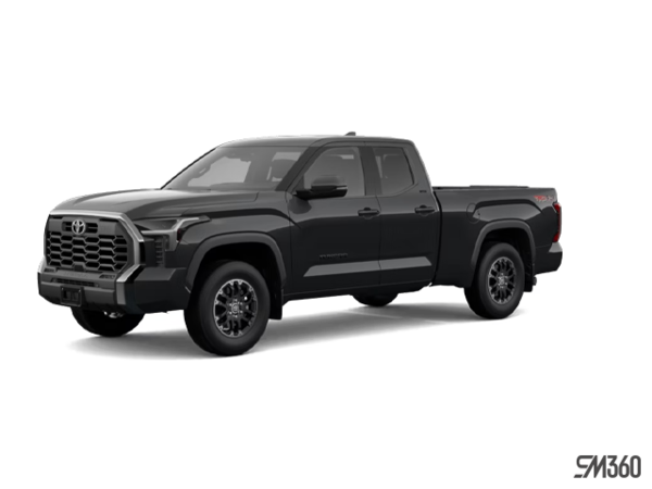 Tundra