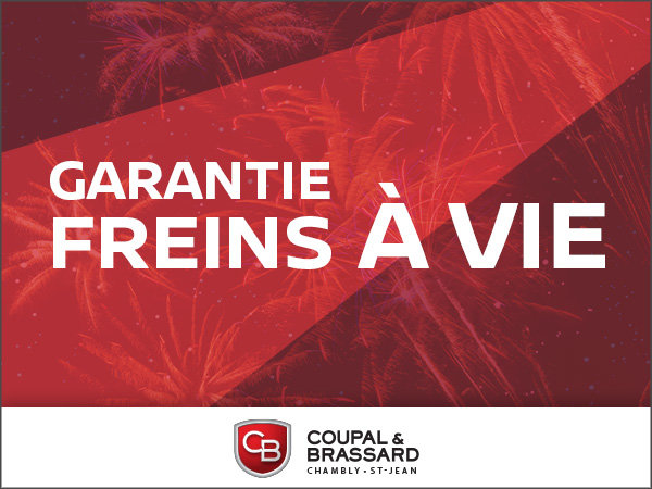 Garantie freins à vie