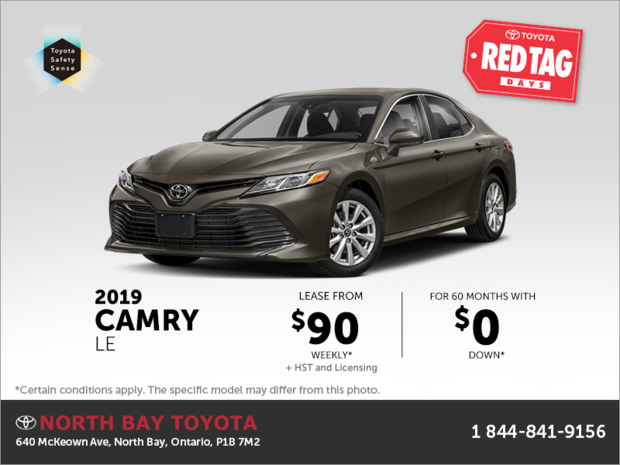 2019 Toyota Camry 2019 Toyota Camry