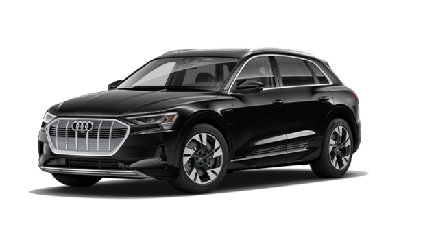New 2019 Audi E Tron Sportback Technik Near Toronto 91 015