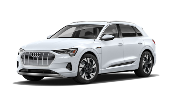 New 2019 Audi E Tron Sportback Technik Near Toronto 91 015