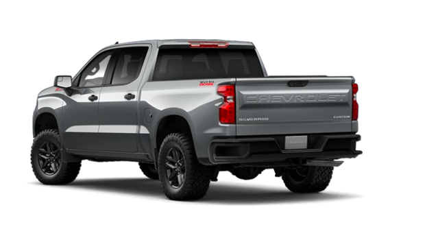 2025 Chevrolet Silverado 1500 - Exterior - 3