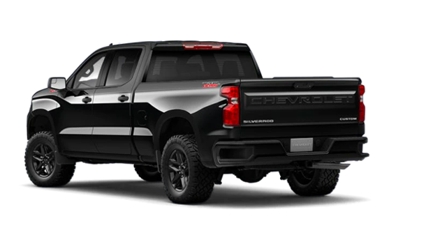 2025 Chevrolet Silverado 1500 - Exterior - 3