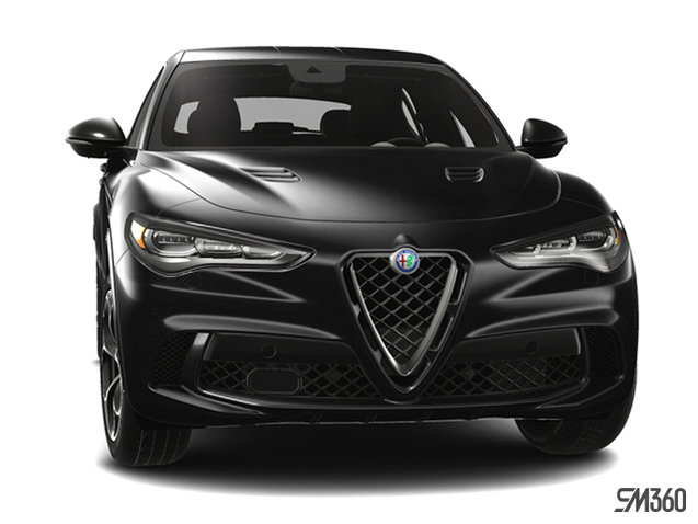 2024 ALFA ROMEO STELVIO CARBONIO photo-3