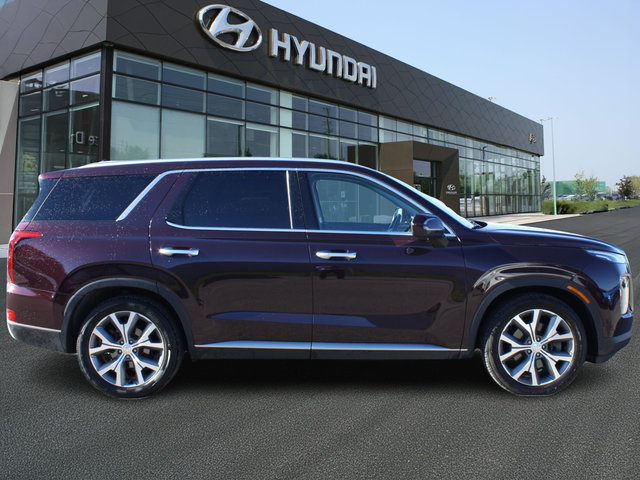 2021 Hyundai Palisade Luxury-3
