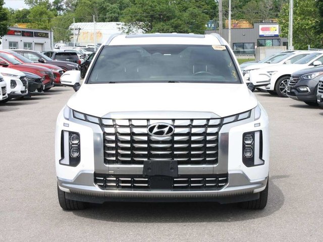2023 Hyundai Palisade Ultimate Calligraphy-1