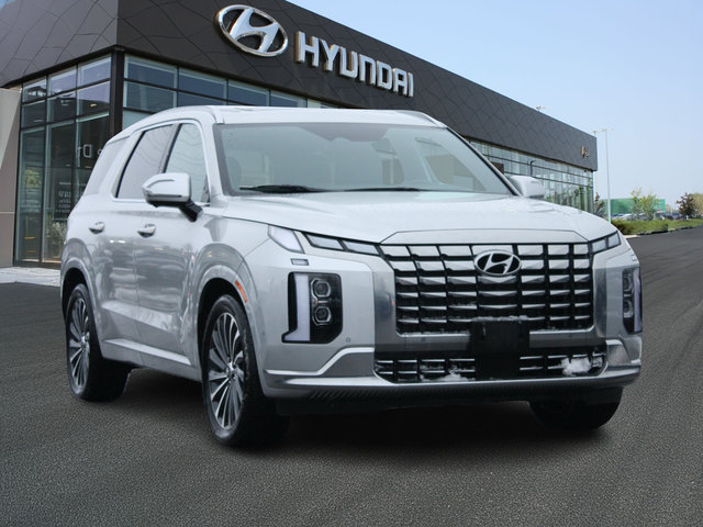 2024 Hyundai Palisade Ultimate-2