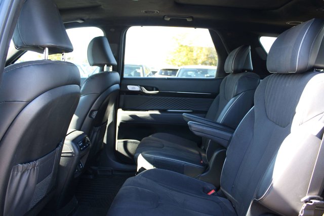 2025 Hyundai Palisade Ultimate-7
