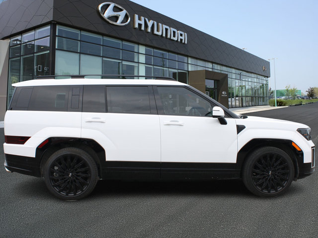 2025 Hyundai Santa Fe Ultimate-3