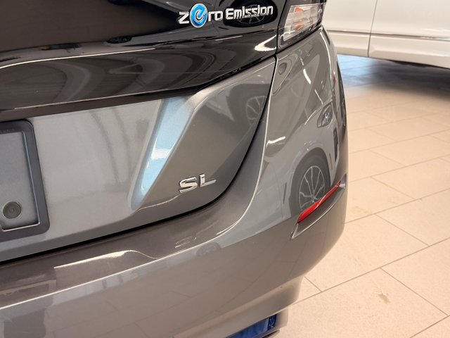 2019 Nissan LEAF SL-5