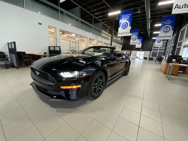 2019 mustang ecoboost remote start cheap