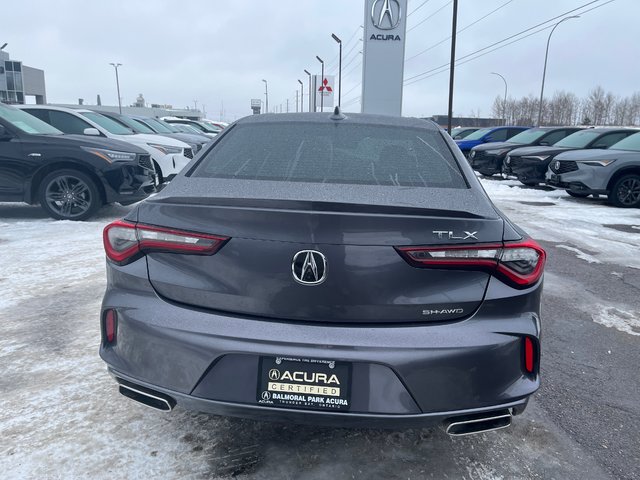 Acura TLX  2021-5