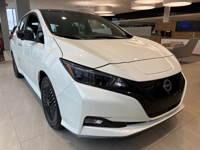 2025 Nissan LEAF SV PLUS-3