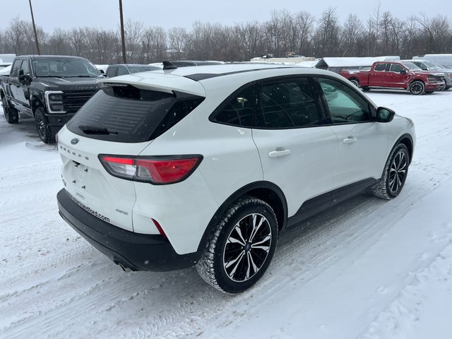 2021 Ford Escape SE-2