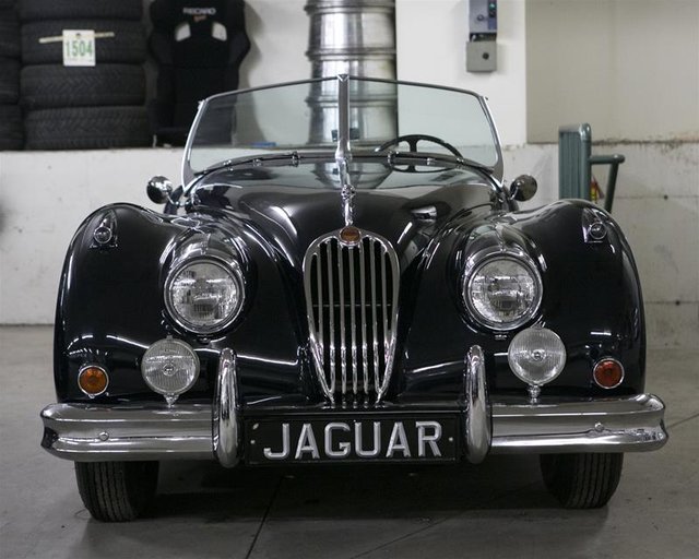 1955 Jaguar Unlisted Item-3