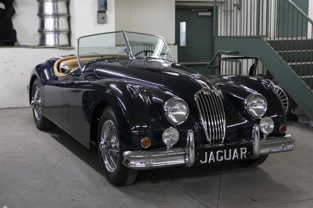 1955 Jaguar Unlisted Item-1