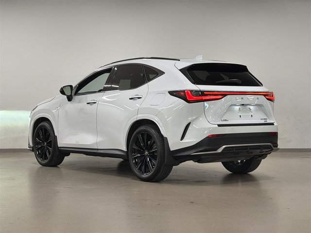 2024 Lexus NX 350-5