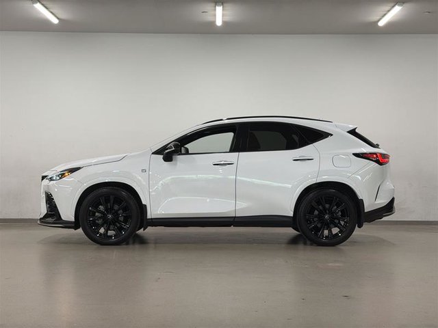 2024 Lexus NX 350-3