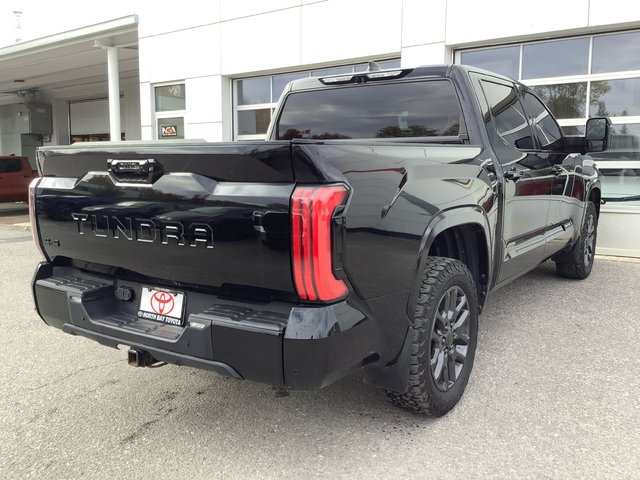 2023 Toyota TUNDRA PLATINUM-5