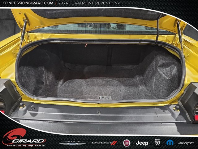 Dodge Challenger R/T 50th 2020-8