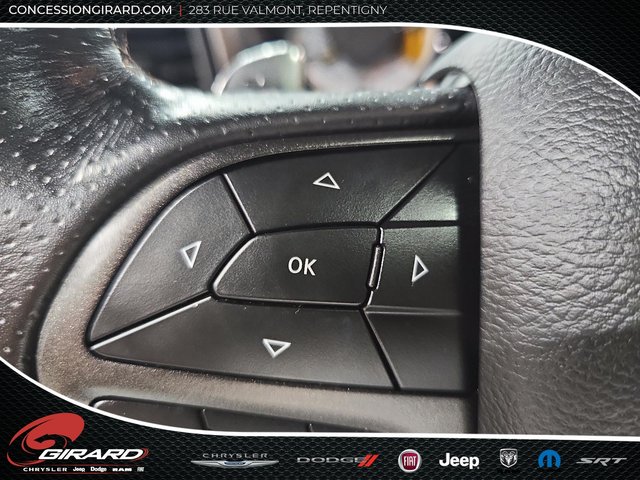 Dodge Challenger R/T 50th 2020-16