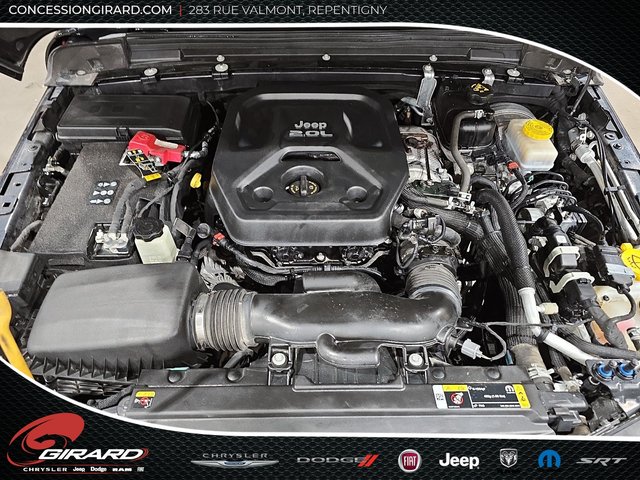 Jeep Wrangler Willys 2022-10