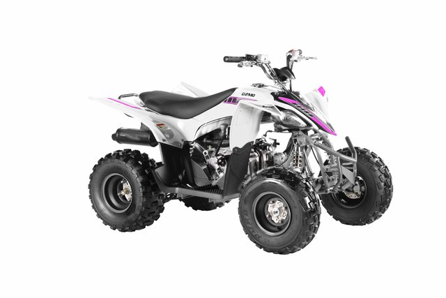 Apollo GIZMO 120 EFI  2020-1