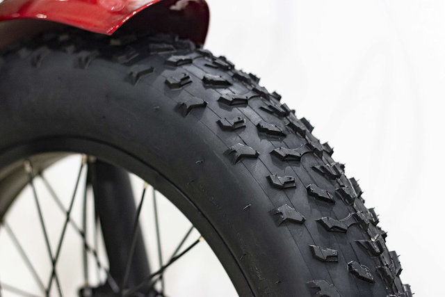 2023 VÉLOS ÉLECTRIQUES DAYMAK FLORENCE FAT BIKE-3