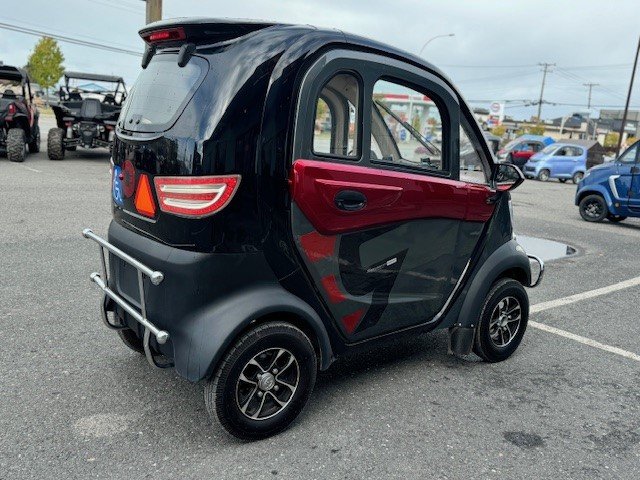 TRIPORTEURS QUADRIPORTEURS ECOLO CYCLE ET4 CRUISE 2021-3