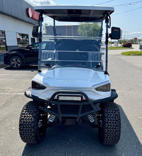 VOITURETTE DE GOLF MODÈLE: ADVENTURE 22 PLUS 100% ÉLECTRIQUE.  BATTERIE AU LITHIUM !!! 2025-6