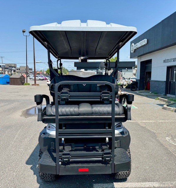 VOITURETTE DE GOLF MODÈLE: ADVENTURE 22 PLUS 100% ÉLECTRIQUE.  BATTERIE AU LITHIUM !!! 2025-2