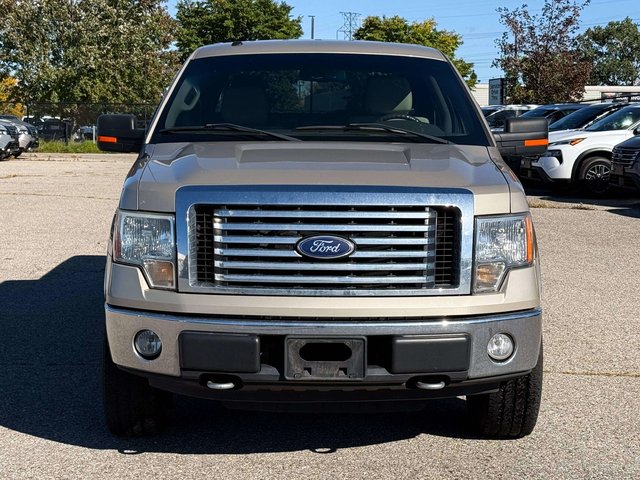 2010 Ford F-150-2