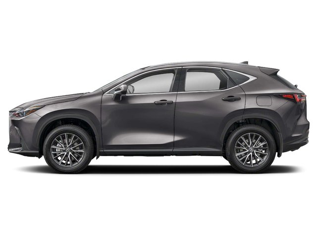 2024 Lexus NX 350h Base-2